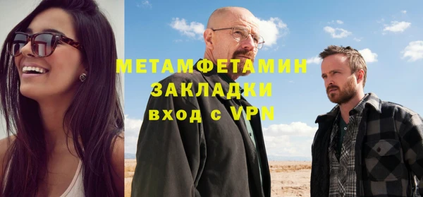 ГАЛЛЮЦИНОГЕННЫЕ ГРИБЫ Тайга