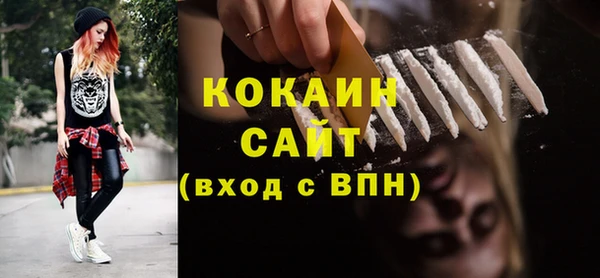 дмт Инта