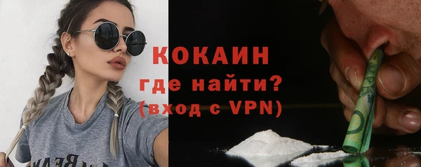дмт Инта