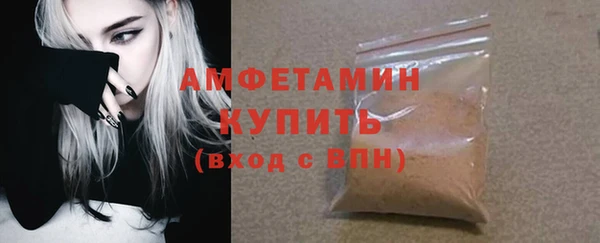 ГАЛЛЮЦИНОГЕННЫЕ ГРИБЫ Тайга