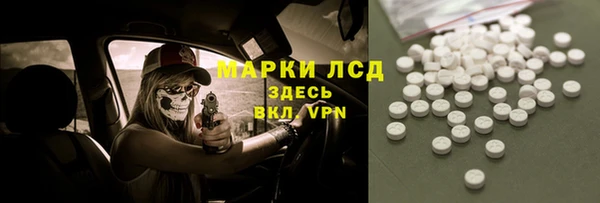 ГАЛЛЮЦИНОГЕННЫЕ ГРИБЫ Тайга